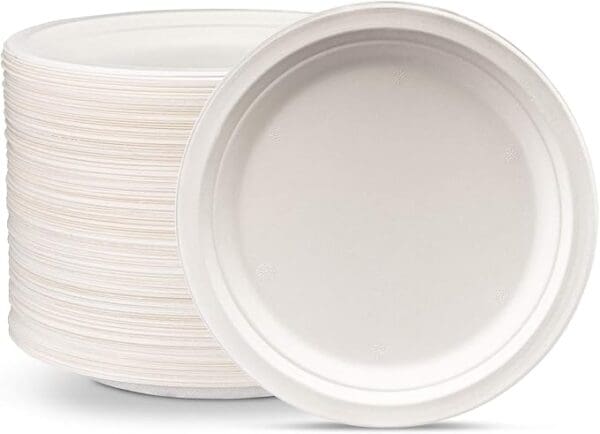 Piatti in plastica 20 pz