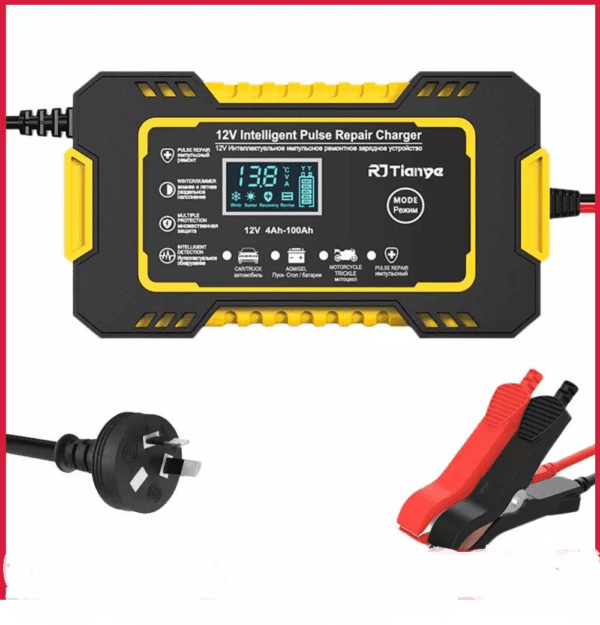 Caricabatteria  Rapido Auto12V Automatico Intelligente Riparazione Impulsi