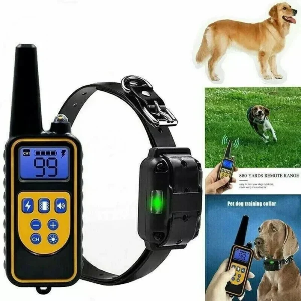 COLLARE 800M IMPERMEABILE TELECOMANDO CANI SCOSSA ELETTRICO ADDESTRAMENTO LCD IT